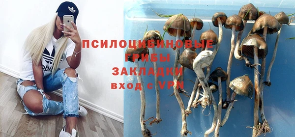 эйфоретик Алексеевка