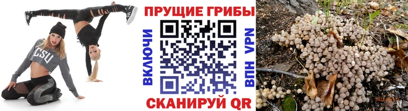 Галлюциногенные грибы мицелий Купить где Дубовка